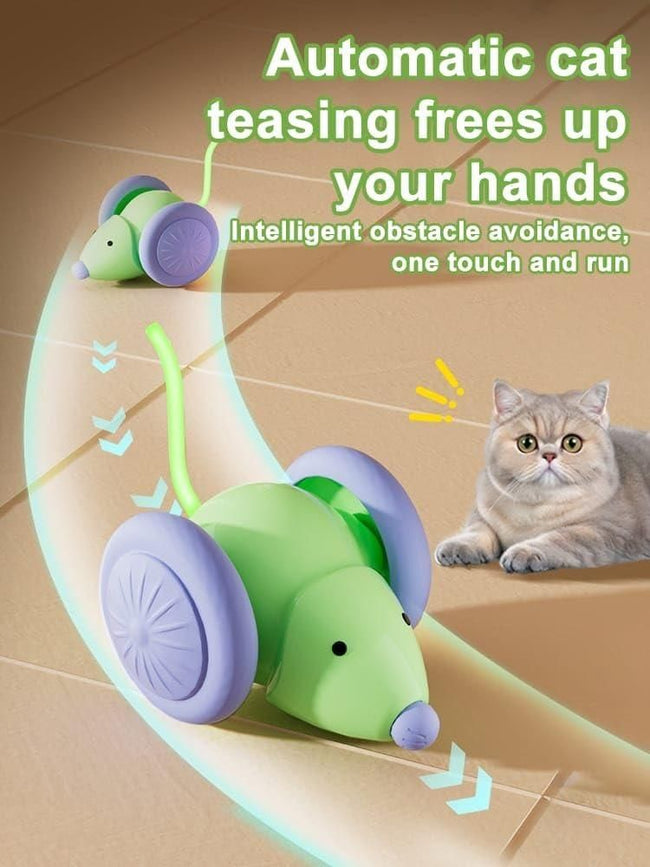 Electric Mascotas Smart Cat Toy Main Image